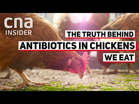 Is It Safe To Eat Chicken Reared With Antibiotics?