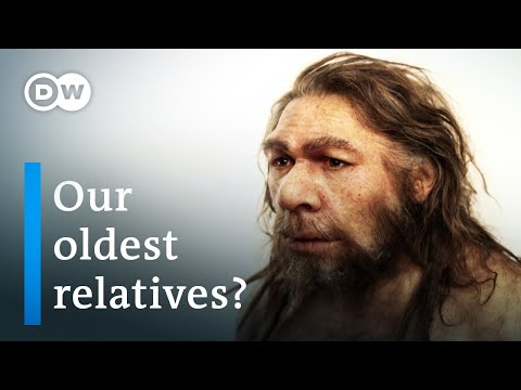 Top 10 Remarkable Early Human Relatives - 55