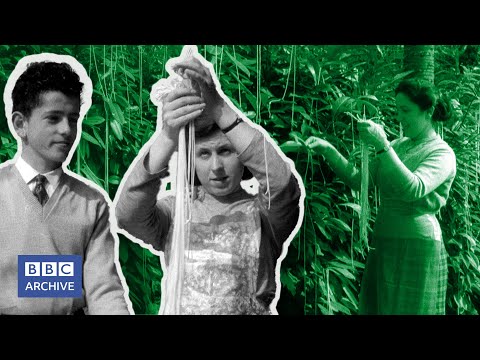 Top 15 April Fool s Day Hoaxes - 61