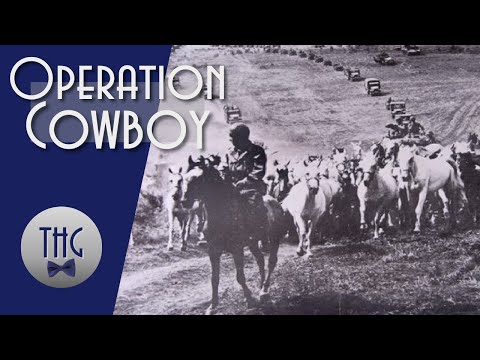 Operation Cowboy and the 1945 Rescue of Europe&#039;s Stolen Horses