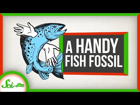 A Very Handy Fish Fossil
