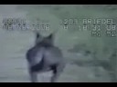 Chupacabra on Cops Camera (closer view)