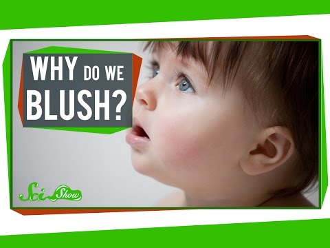 Why Do We Blush?