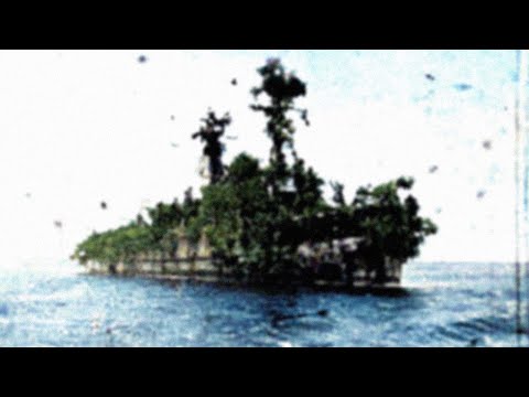 The WW2 Ship Dressed Like an Island - HNLMS Abraham Crijnssen