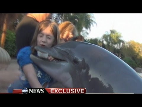 10 Ways Dolphins Show They Have a Darker Side - 14