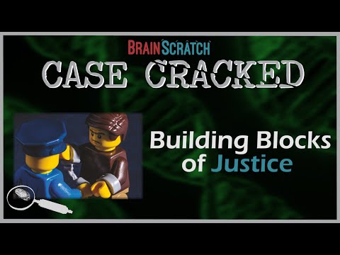 Case Cracked: Building Blocks of Justice