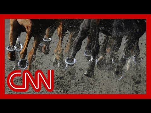 Santa Anita track owners and trainers under investigation after horse deaths