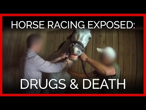 Horse Racing Exposed: Drugs and Death