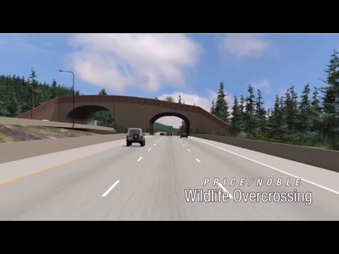 Connecting Wildlife Habitat Under and Over I-90