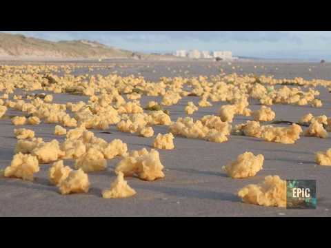 Strange Thing Washed Ashore on French Beach