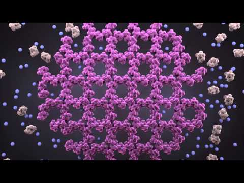 International Space Station Protein Crystal Growth