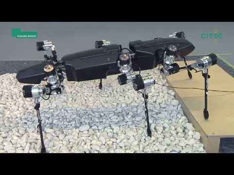 HECTOR - The six-legged walking robot