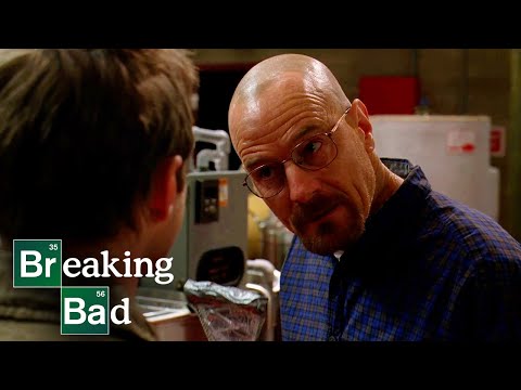 A Fly Contaminates The Lab | Fly | Breaking Bad