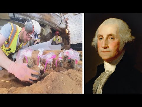 250-Year-Old Cherries Found at George Washington&#039;s Plantation