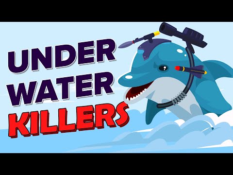 Killer Dolphins Guard Nuclear Navy Base