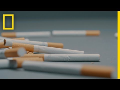 What&#039;s the World&#039;s Most Littered Plastic Item? Cigarette Butts | National Geographic