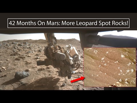 42 Months on Mars: More LEOPARD SPOTS!