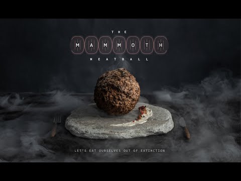 The Mammoth Meatball: The world&#039;s first meat made out of the extinct Woolly Mammoth