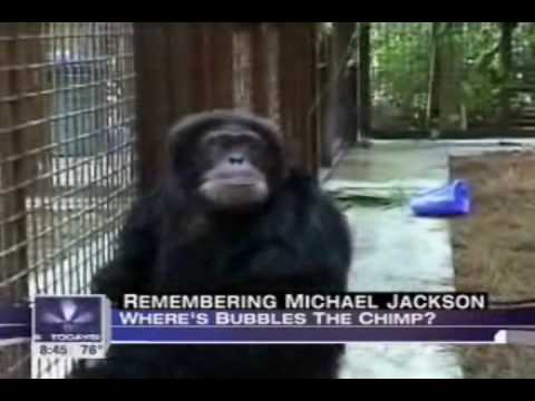 Does Bubbles the Chimp Miss Michael?