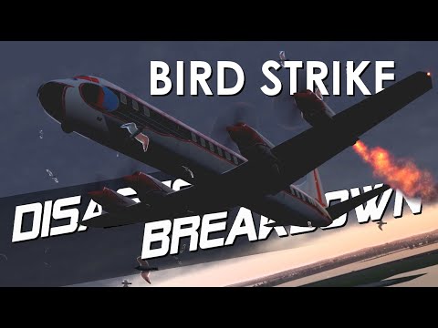 Deadly Bird Strike on a Passenger Plane (Eastern Airlines Flight 375) - DISASTER BREAKDOWN