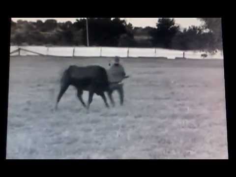 Footage of Bill Pickett in &quot;The Bulldogger&quot; (1921)