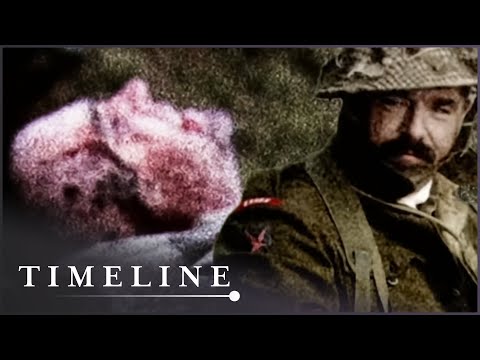 The Men Of Monte Cassino: Soldiers Remember | Battle of Monte Cassino | Timeline