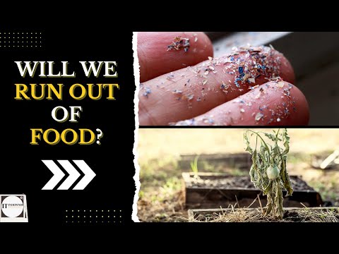 FOOD SUPPLY AT RISK? Microplastic Pollution Threatens Food Crops Globally