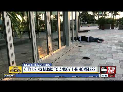 Florida city hopes &#039;Baby Shark&#039; song will drive homeless from park