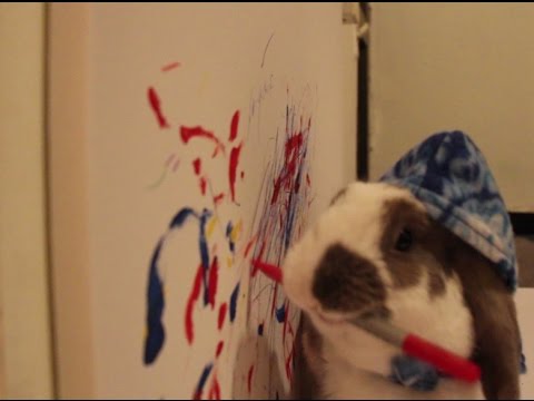 Painting Bunny- Bini the Bunny does art! Animals can paint