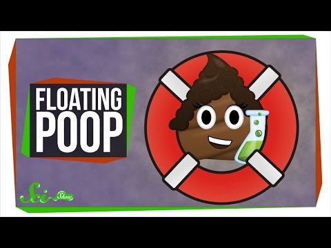 Why Does My Poop Float?