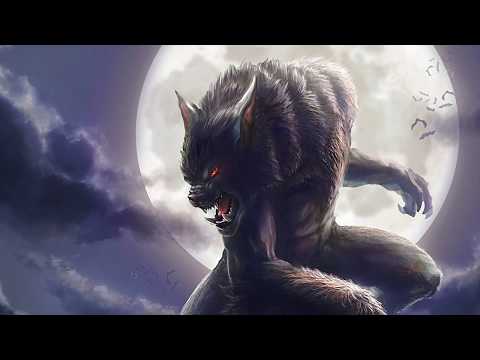 Why Are Werewolves So Popular? The History Of The Werewolf Legend