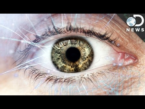 How The Human Eye Evolved To Be So Complex