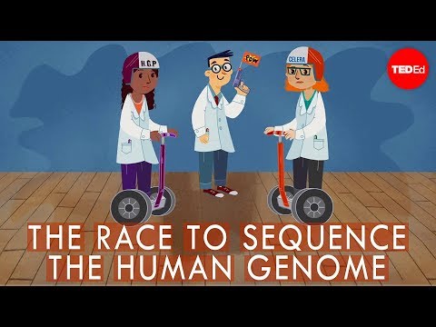 The race to sequence the human genome - Tien Nguyen