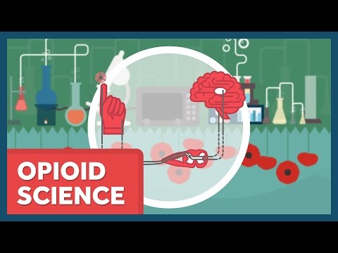 The Science of Opioids