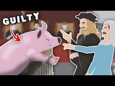Why was a Pig put on trial in Medieval Europe? (Strange History)