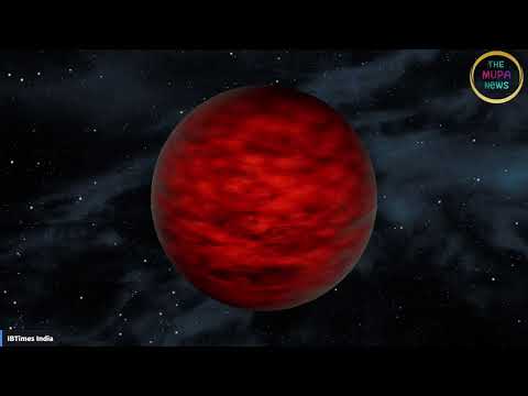 Astronomers Discover Rare Quadruple Star System with Brown Dwarfs UPM J1040−3551