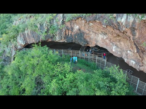 Early humans in South Africa used grass to create bedding, 200 000 years ago