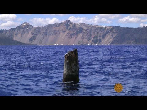 On the Trail: Crater Lake&#039;s Old Man