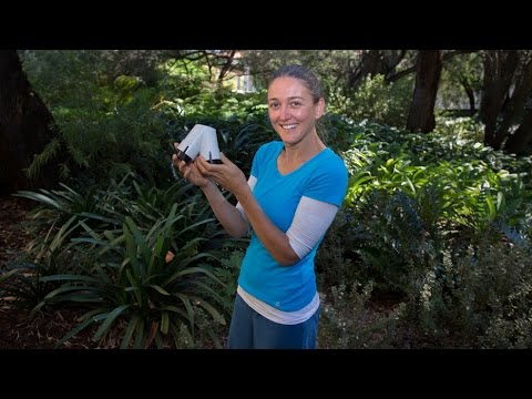 Study reveals plants can hear