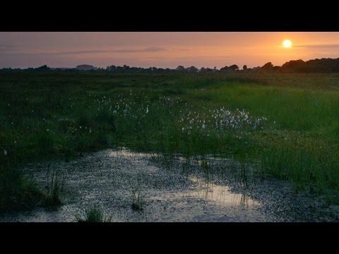 The Unnerving Evidence of Sacrifice in These Irish Bogs