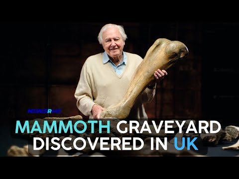 Mammoth graveyard discovered in UK | UK News | NewsRme