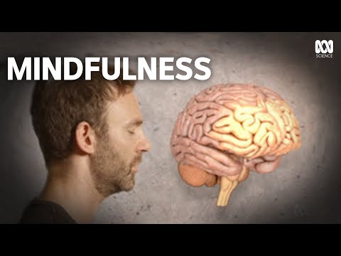 The science of meditation | Catalyst