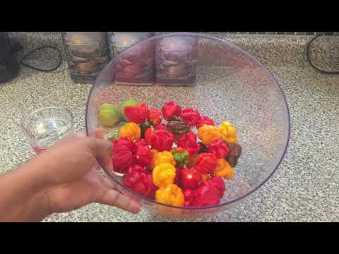 The Best Trinidad Scorpion Pepper Sauce RECIPE