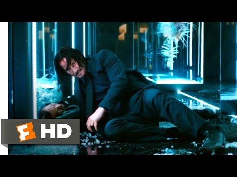 John Wick: Chapter 3 - Parabellum (2019) - Shinobi Assassin Fight Scene (9/12) | Movieclips