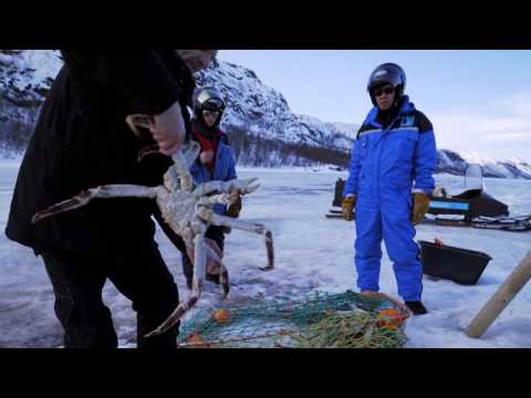 Kirkenes Snowhotel - King Crab Winter Safari