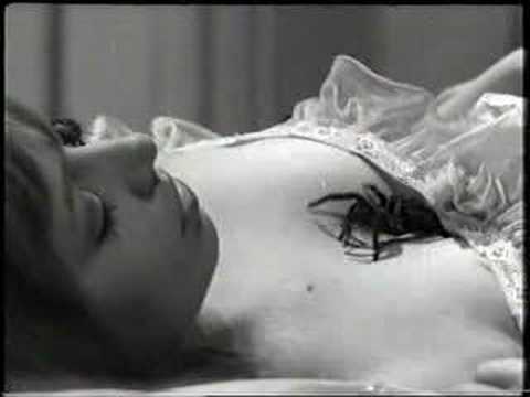 Tarantula Scene from &#039;This Night I Will Possess Your Corpse&#039;