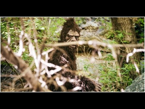 Vietnam War Rock Apes - Bigfoot or Big Fraud?