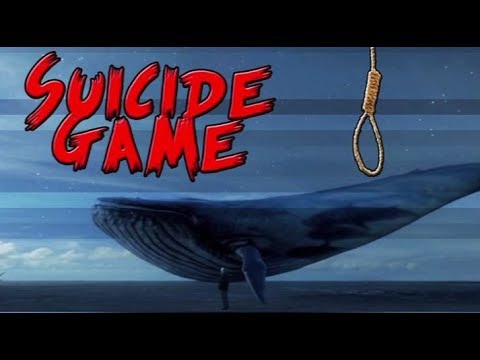 Gaming with life: What is the Blue Whale challenge?