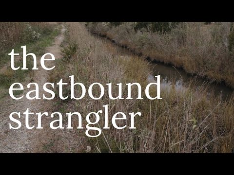 the eastbound strangler | unidentified serial killer
