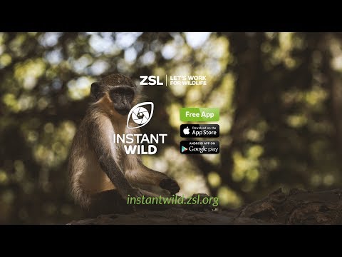 Instant Wild App - puts conservation at your fingertips